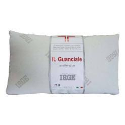 Guanciale-Irge-p,jpg