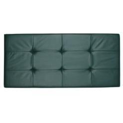 Panca press line linea blu verde