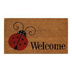 Zerbino Cocco Welcome #2