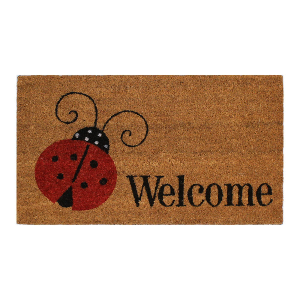 Zerbino Cocco Welcome #2