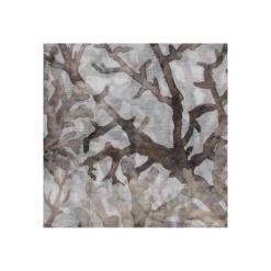 Tendine-Aruba-tortora