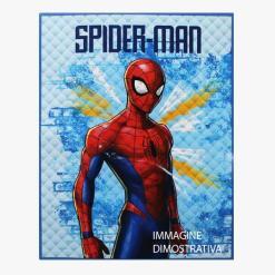Trapunta-spiderman-2024-stampa
